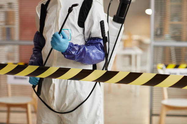Professional Blood Cleanup technician working in Rocky Point, NY
